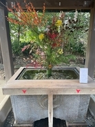 なぜ富裕層ほど｢神社で願いごとをしない｣のか…孫正義も実践｢山奥にある不便な神社｣がもたらす究極の開運法