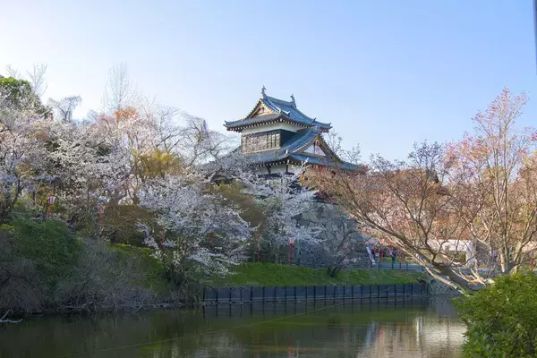 「NHK大河で吉岡里帆演じる｢秀長の妻｣を襲う悲劇…本能寺の変が起きた年に夫妻が失った"大切なもの"」の画像