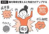 「｢ヨーグルトだけ｣よりずっと効果的…群馬の高齢者研究で判明した｢便秘リスクが10分の1に激減した人｣の日課」の画像3