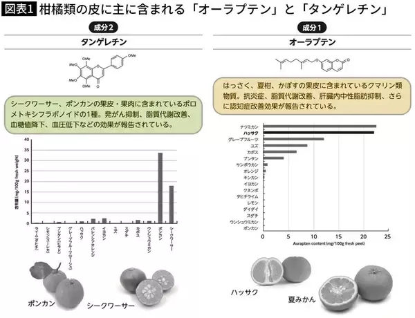 「熱中症研究者が100種類検証して見つけた…｢40℃の環境に負けない体｣をつくるスーパーで買える果物の名前」の画像