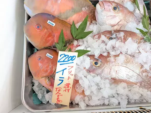 価格はヒラメの半分なのに味で凌駕する…"見かけ"が悪いせいでスーパーには置かれない"切ない魚"の名前