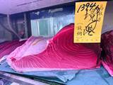 「｢女性には無理｣と断られても諦めなかった…巨大マグロをさばく｢32歳ツナプリンセス｣が一人前になった瞬間」の画像4