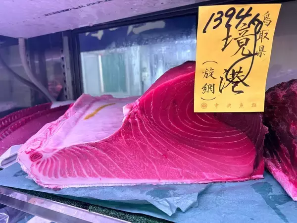 「｢女性には無理｣と断られても諦めなかった…巨大マグロをさばく｢32歳ツナプリンセス｣が一人前になった瞬間」の画像