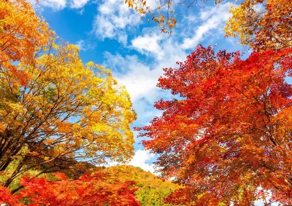 朝食でこれを食べない人は損してる…秋の｢なんとなく不調｣に医師が勧める"幸せホルモン"の分泌を助ける食材