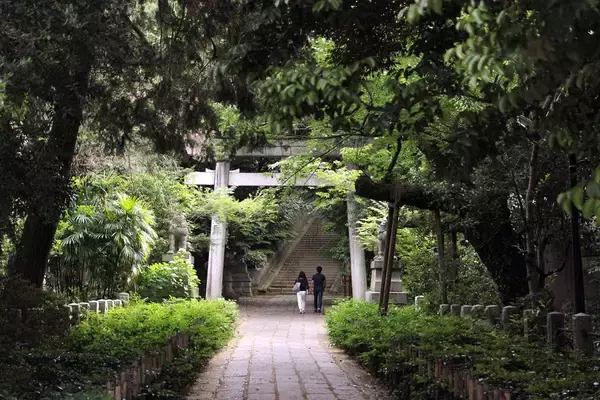 神社の境内に｢ぽっかりと空いた謎の穴｣が…東京のど真ん中でひっそり続く｢キツネ穴信仰｣のディープな世界