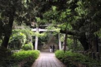 神社の境内に｢ぽっかりと空いた謎の穴｣が…東京のど真ん中でひっそり続く｢キツネ穴信仰｣のディープな世界