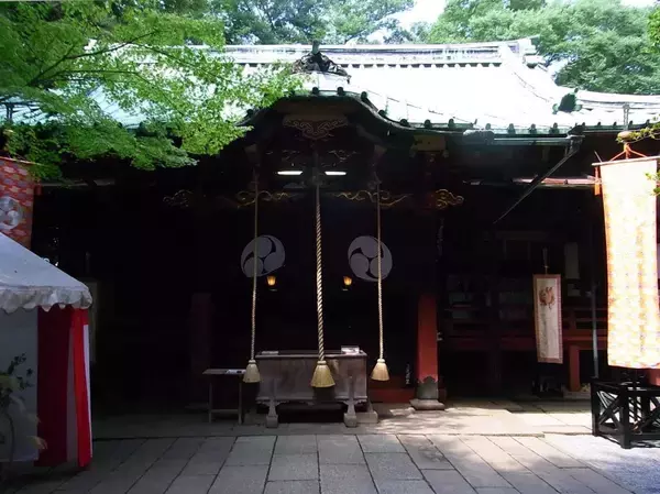 「神社の境内に｢ぽっかりと空いた謎の穴｣が…東京のど真ん中でひっそり続く｢キツネ穴信仰｣のディープな世界」の画像