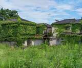 「実家の相続で｢数百万円｣得する人損する人…放置して維持費･固定資産税に喘ぐ人が知らない期間限定"特例"」の画像1