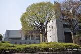 「こりゃ｢失われた30年｣はまだまだ終わらんわ…法学者が断じる｢経済停滞より深刻な"4つの機能不全"｣」の画像2