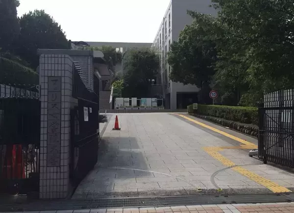 「｢風､薫る｣のモチーフ･鈴木雅が怒っている…孤児でもメイドでもない､朝ドラが描いた｢鹿鳴館婚活｣の史実」の画像