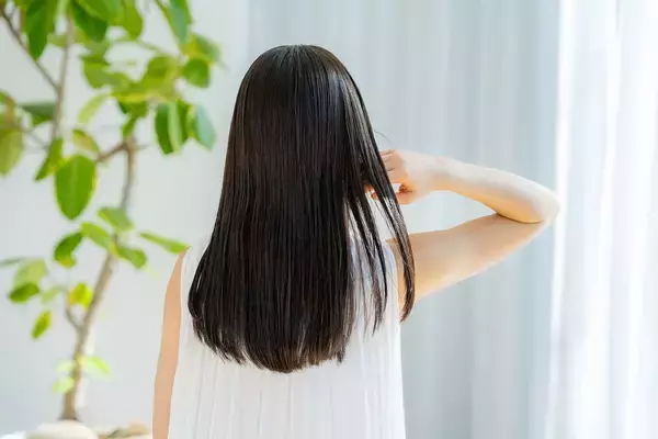 美しい髪がスープに浮いた途端｢汚い｣に変わるのはなぜか…文化人類学の第一人者が解明する"不快感"の正体