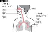「｢いびき｣を放置すると最悪の場合､死に至る…耳鼻科医が｢今夜､確認して｣と呼びかける"理想的な枕の高さ"」の画像2