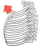 「仕事終わりの自宅ですぐできる…パソコン作業でガチガチの体が一気に軽くなる"胸骨体操"のすごい開放感」の画像1