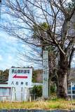 「だから徳川家康の正室は"毒婦"にされた…天下人になったのに家庭で失敗した"神君"の不都合な真実」の画像5