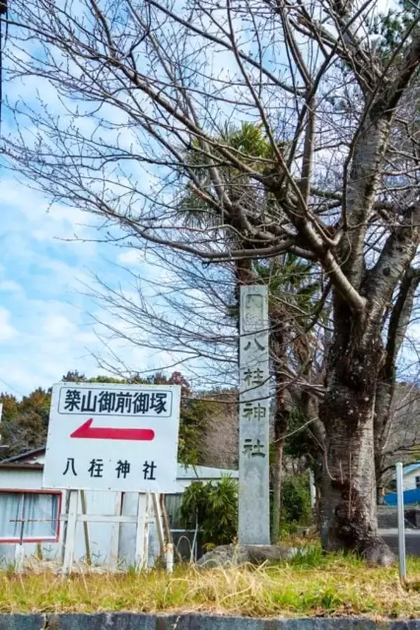 「だから徳川家康の正室は"毒婦"にされた…天下人になったのに家庭で失敗した"神君"の不都合な真実」の画像
