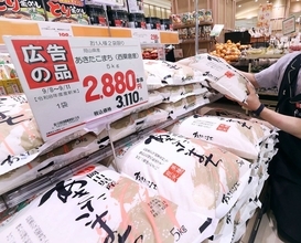 コメ高騰を｢JAと農水省のせい｣で終わらせていいのか…価格が下がった今､現役農家が問う犯人探しの危うさ