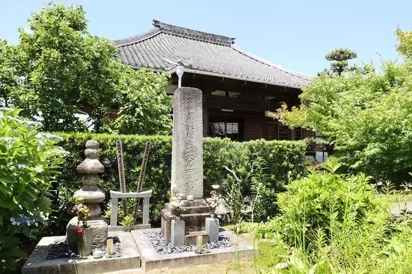 「そりゃ秀吉も通えるわ…名古屋の実家から｢日帰り徒歩圏｣で百姓から武士への転身を可能にした｢信長の城｣」の画像