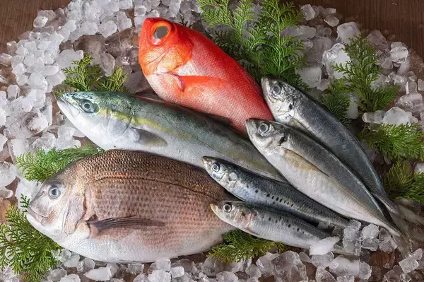 ｢血管を強くする魚｣がヨボヨボの原因に…焼く､煮る､揚げる､蒸すのうち｢老化促進物質AGEs｣が一番増える調理法