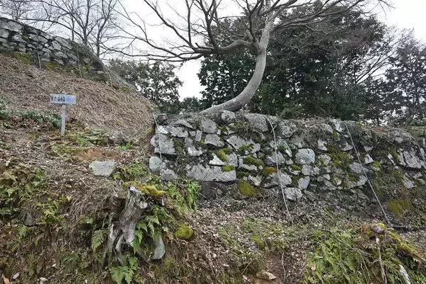 「秀吉､家康に愛された｢築城の名人｣のデビュー作…NHK大河では描かれない竹田城のそばにある｢秀長の城｣の価値」の画像