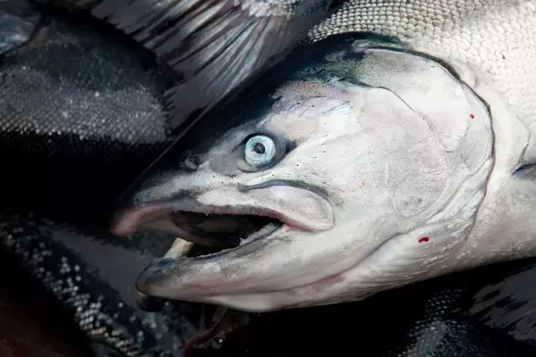 「ハリウッド映画から｢中国人の悪役｣が消えた…あのディズニーを屈服させた中国が持つ｢14億人市場｣の威力」の画像