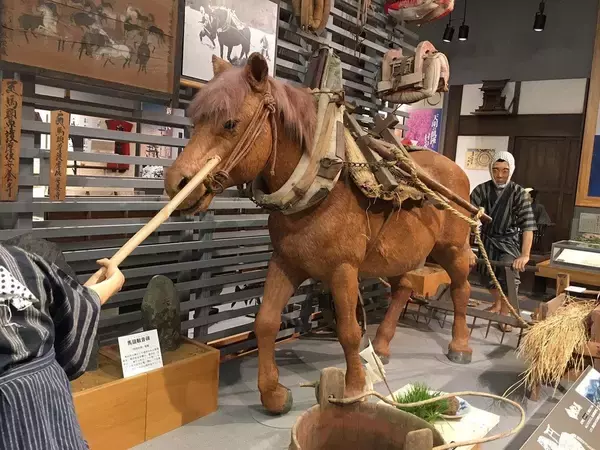 「時代劇のサムライが乗る｢立派な馬｣は完全な虚構…日本固有の"足の短い在来馬"がほぼ絶滅した悲しい理由」の画像