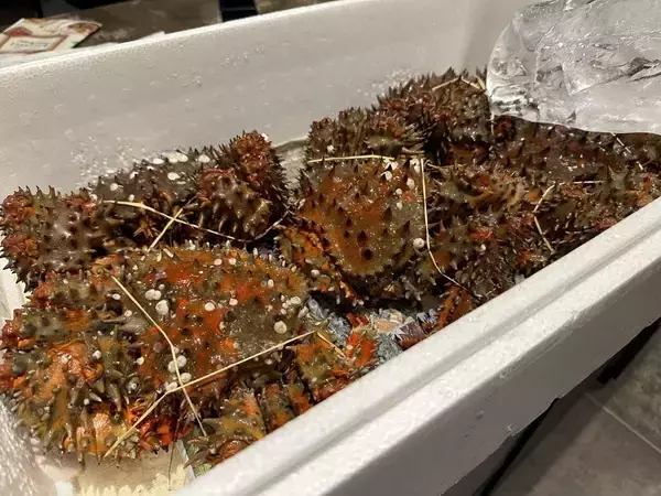 「｢予約困難店｣に並ぶのは小金持ち…"本物の金持ち"が大切な人を招く｢別荘でも自宅でもない｣さすがの場所」の画像