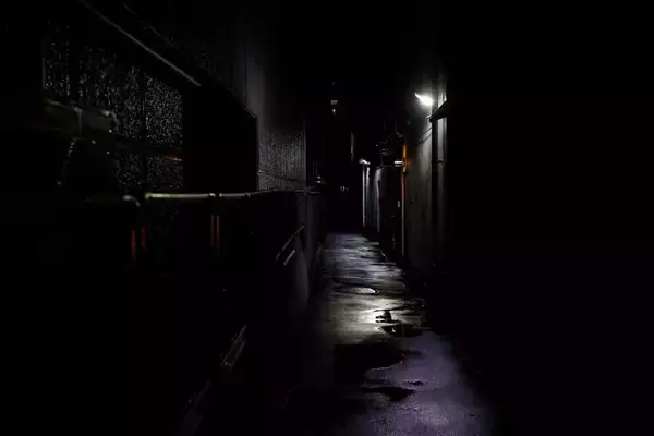 まじめな外国人が消え､悪い外国人がのさばるだけ…感情論で国益を損なう｢経営管理ビザ厳格化｣という愚策