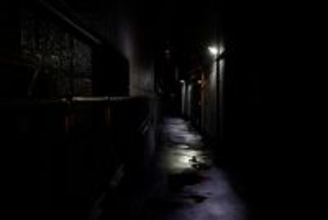 まじめな外国人が消え､悪い外国人がのさばるだけ…感情論で国益を損なう｢経営管理ビザ厳格化｣という愚策