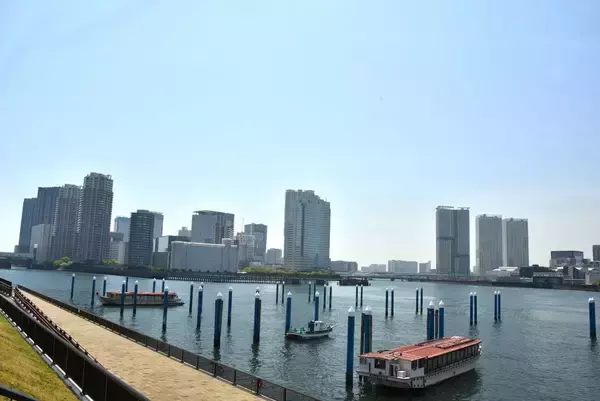 「武蔵小杉､豊洲の次に｢住みにくい街｣になるのは…駅も学校も追いつかない｢タワマン街｣人口爆増の泥沼【2026年7月BEST】」の画像