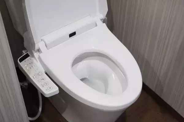 そりゃ｢トイレで尻を洗いたくなる｣ワケだ…"便の性質が違う"日本をウォシュレット超大国にした3つの要因