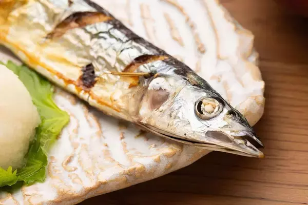 サンマでもサケでもない…おいしくて安くて栄養価の高い"北海道で激増している魚の種類"【2026年3月BEST】