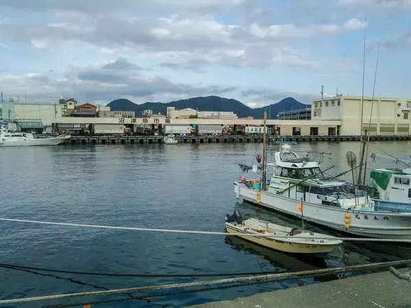 「入館者の目当てはシャチでもクジラでもない…東京から約1時間の地方都市にある｢日本唯一の水族館｣の正体」の画像