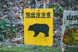 「東京はすでにクマに囲まれている…専門家が｢ここまで侵入する可能性がある｣と警鐘を鳴らす"要警戒エリア"」の画像1