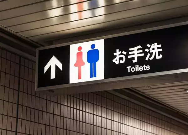 日本の公衆トイレは性犯罪に｢絶好の場所｣…海外のトイレとは明らかに違う｢2つの構造的欠陥｣
