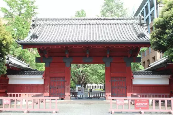 子どもの学歴と年収は｢生まれ｣で決まる…最新研究で判明｢頭のいい子が育つ裕福家庭｣が幼少期に徹底すること【2025年12月BEST】