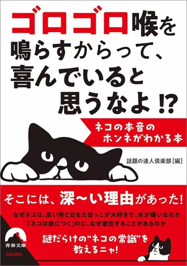 「｢猫と犬のどっちが賢いか｣の意外な結論…猫が｢驚きの記憶力を発揮する分野｣と｢すぐ忘れる肝心な要素｣」の画像