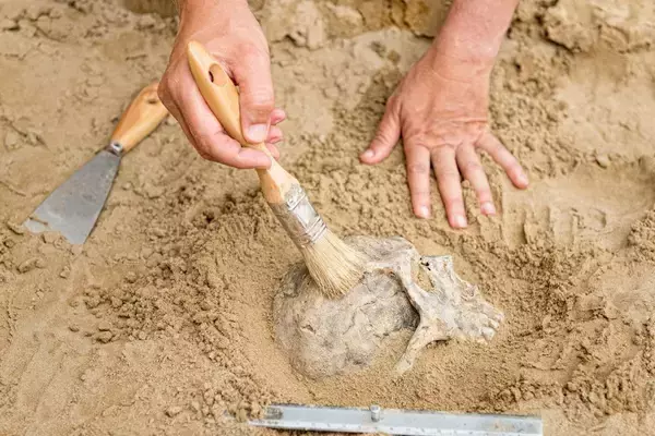 ｢縄文時代は平和だった｣は大間違い…北海道の遺跡で発掘された人骨が露わにした｢縄文人｣の真実