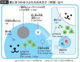 「見逃すと突然の土砂降りに見舞われる…雲研究者が｢これを見かけたら即逃げて｣という"空のサイン"」の画像1