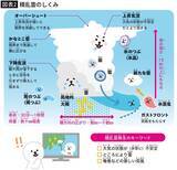 「見逃すと突然の土砂降りに見舞われる…雲研究者が｢これを見かけたら即逃げて｣という"空のサイン"」の画像3