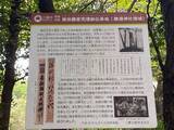 「越前･北庄城49万石の大名→2000石の旗本に…秀吉に滅ぼされ､家康に拾われた｢柴田勝家の子孫｣のその後」の画像4