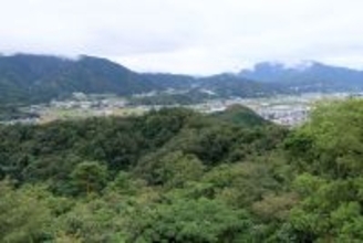 秀吉でも光秀でもない…｢金ヶ崎の退き口｣で信長を窮地から救ったと考えられる"もう一人"の戦国武将の名前