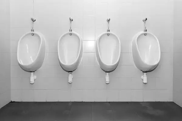 「20代の美人が突然､私の個室オフィスに…ハーバード大で元自衛隊陸将が体験した｢中国のハニートラップ｣」の画像