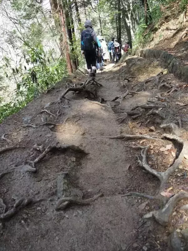 「だから高尾山は｢遭難者数日本一の山｣に変貌した…ケーブルカーもあるのに救助要請が絶えない"本当の理由"」の画像
