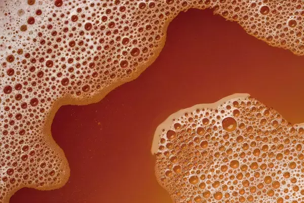 「茶色に濁るバスタブ､排水溝に残る大量の大便…12時間徘徊の87歳夫を老老介護する66歳妻が幸福を感じる瞬間」の画像