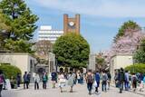 「MARCH卒､日東駒専卒では不利になる…就職でも昇進でもない｢学歴が足をひっぱる人生の勝負どころ｣【2026年4月BEST】」の画像2