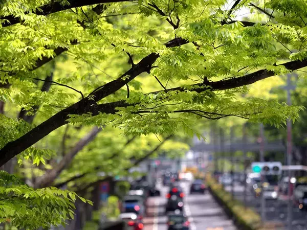 ｢一流のお金持ち｣はフェラーリには乗っていない…"本物"を知る富裕層が行きつく"究極のクルマ"の正体