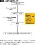 「不足すると悪酔いしてしまう…医師｢アルコールの代謝に"主役級の活躍をする栄養素"の名前｣」の画像2