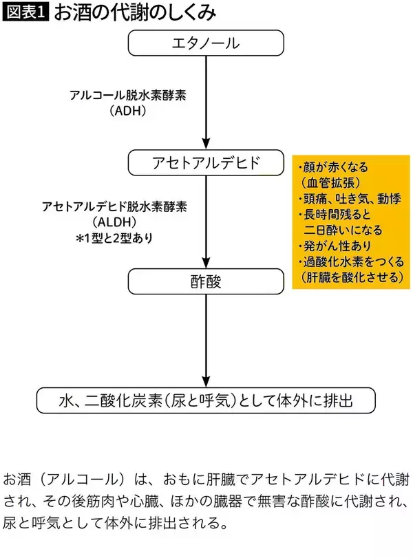 「不足すると悪酔いしてしまう…医師｢アルコールの代謝に"主役級の活躍をする栄養素"の名前｣」の画像