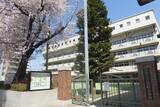 「なぜ｢中国人富裕層｣が東京･文京区の不動産に殺到するのか…日本人は知らない｢中国SNSに飛び交う情報｣」の画像2