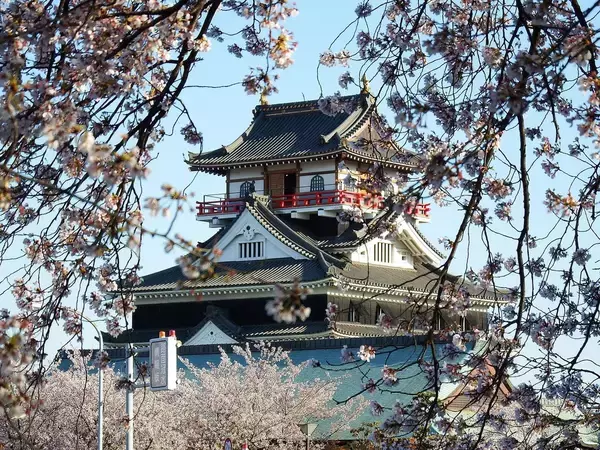 「すべては秀吉に愛されすぎたから…賤ヶ岳後に大大名となるも全てを没収された｢七本槍｣筆頭武将の晩年の悲劇」の画像